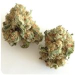 Шишки "White Widow"  (Белая вдова)  Гидропоника -  Бошка VHQ в Гуково