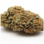 Шишки AK47 (Гидропоника, Бошка) VHQ в Гуково Шишки AK47 (Гидропоника, Бошка) VHQ в Гуково